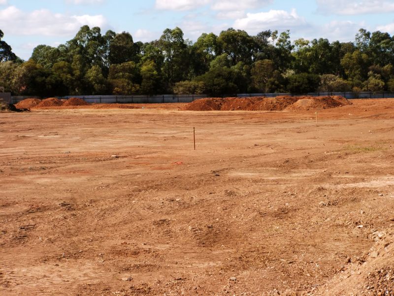 Site Clearing Service in Gwinnett County, GA